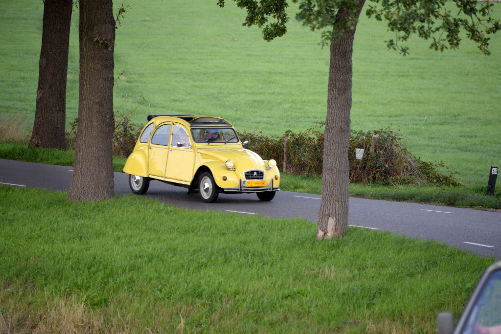 ../Images/Aircooled Bergharen 2018 160.jpg